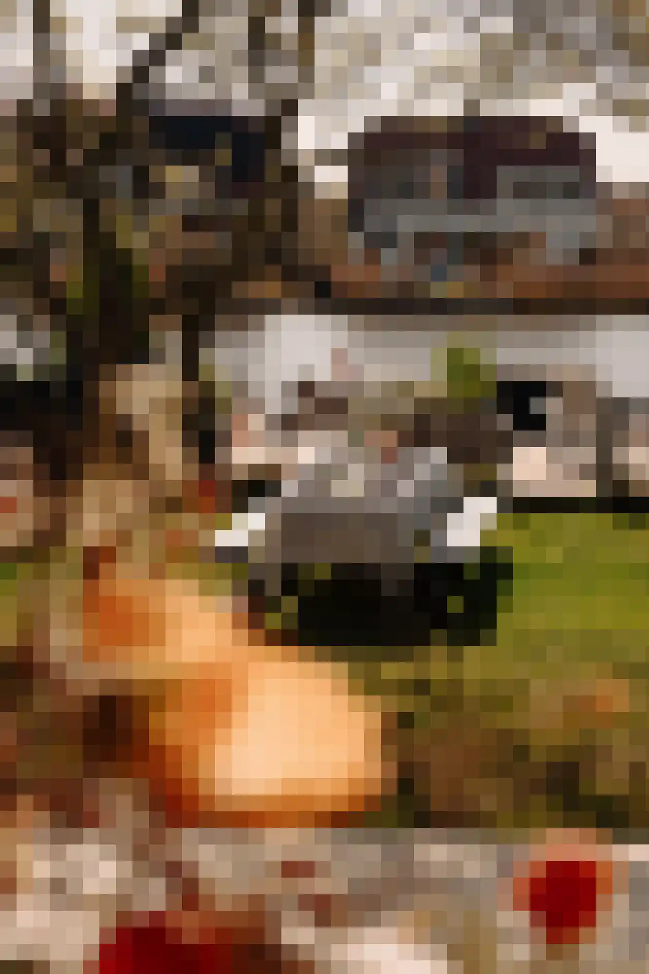 Terbregse Rechter Rottekade 117 Rotterdam thumbnail 26