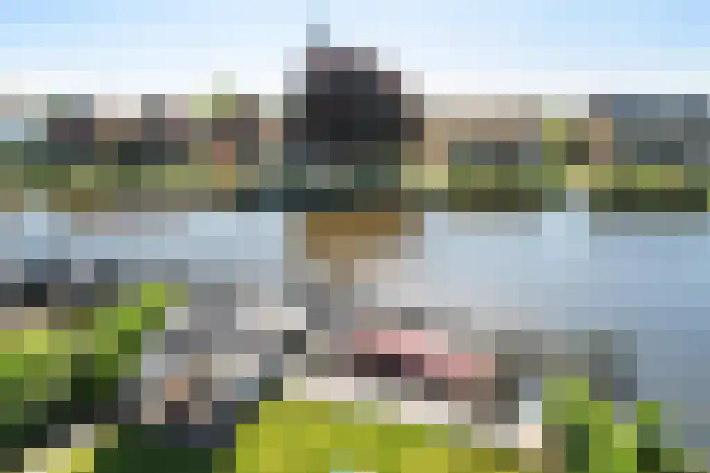 Terbregse Rechter Rottekade 161 Rotterdam thumbnail 22