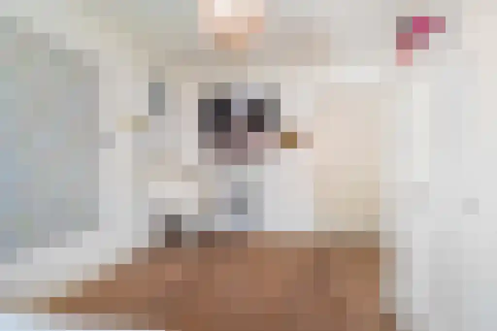 Terbregse Rechter Rottekade 161 Rotterdam thumbnail 29