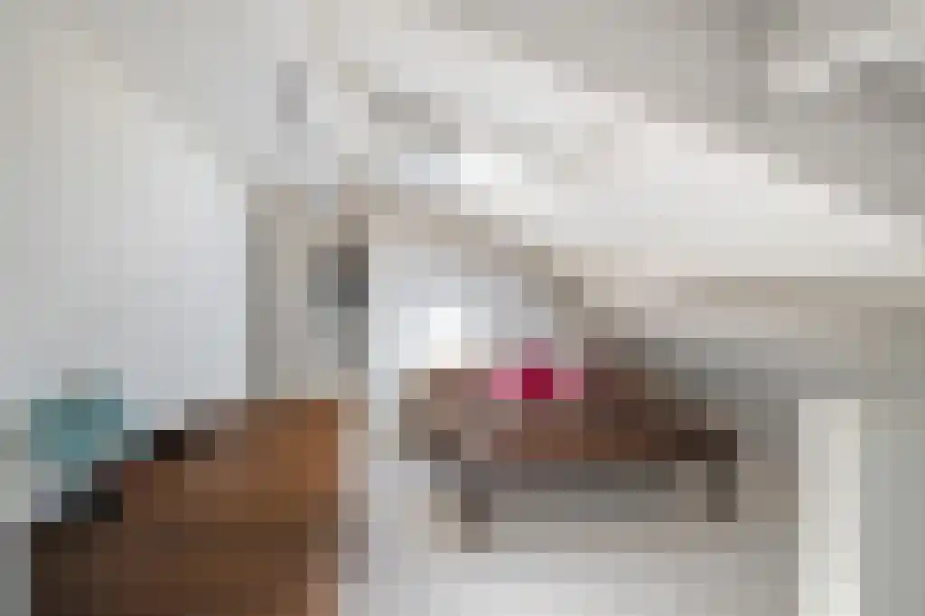 Terbregse Rechter Rottekade 161 Rotterdam thumbnail 36