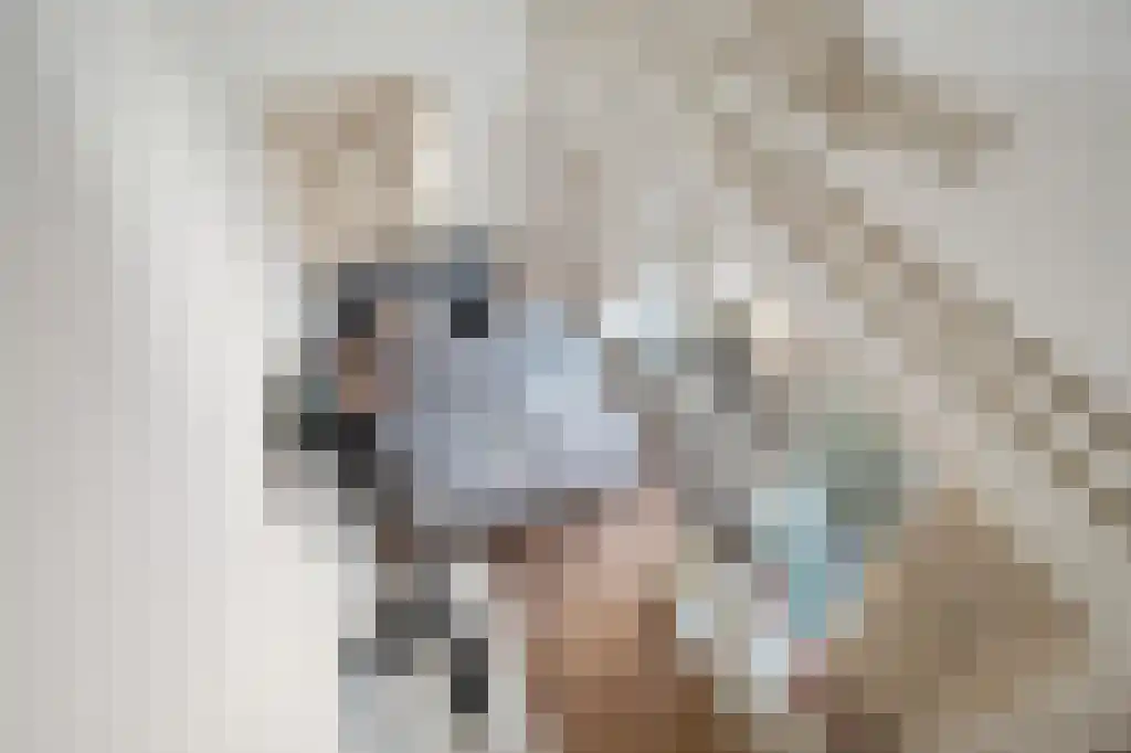 Terbregse Rechter Rottekade 161 Rotterdam thumbnail 41
