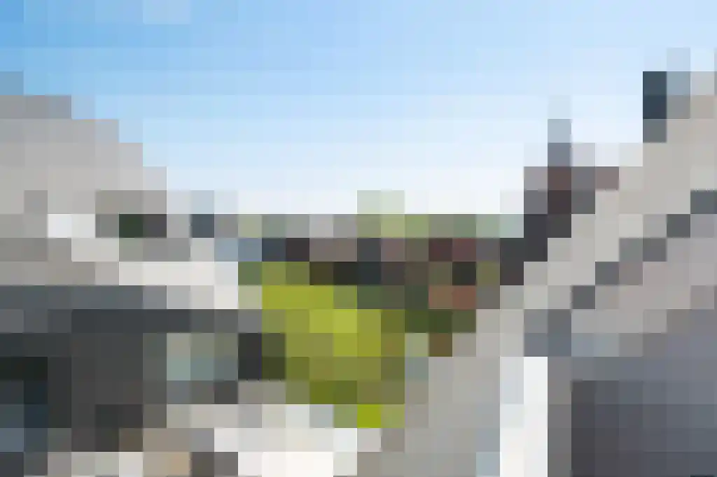 Terbregse Rechter Rottekade 161 Rotterdam thumbnail 44
