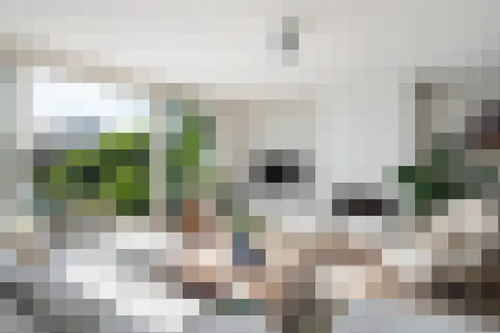 Terbregse Rechter Rottekade 161 Rotterdam thumbnail 9