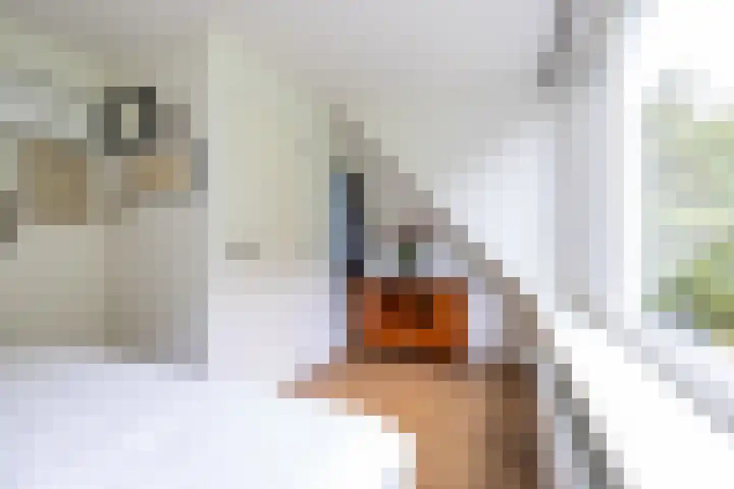 Terbregse Rechter Rottekade 278 Rotterdam thumbnail 22