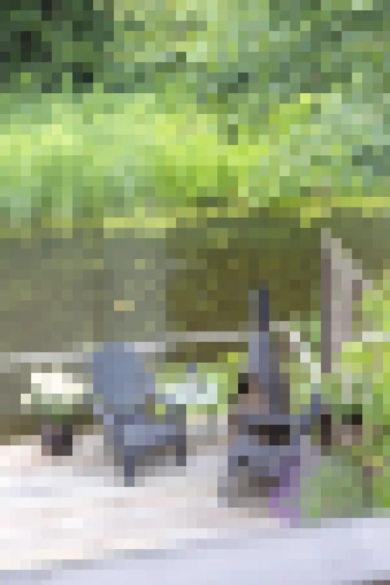 Terbregse Rechter Rottekade 278 Rotterdam thumbnail 33