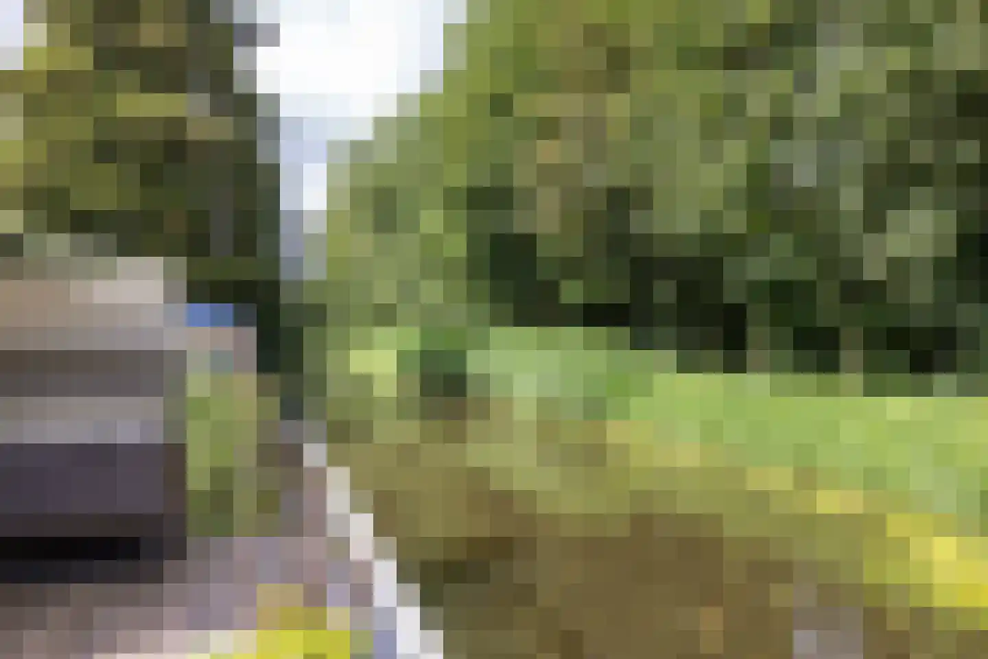 Terbregse Rechter Rottekade 278 Rotterdam thumbnail 36