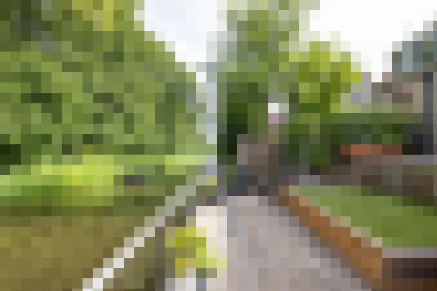 Terbregse Rechter Rottekade 278 Rotterdam thumbnail 37