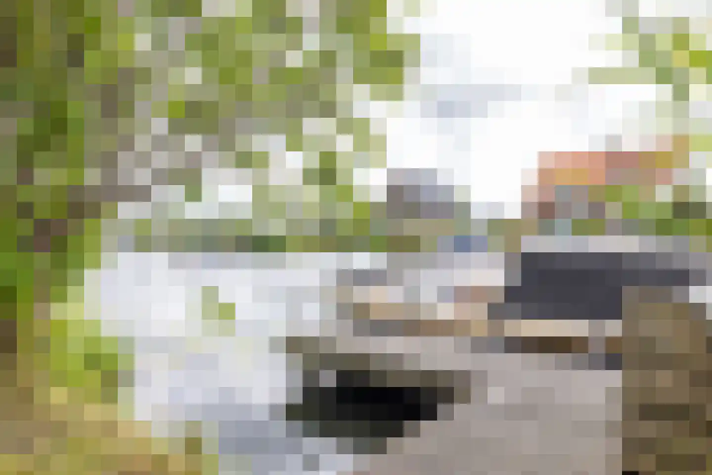 Terbregse Rechter Rottekade 278 Rotterdam thumbnail 4