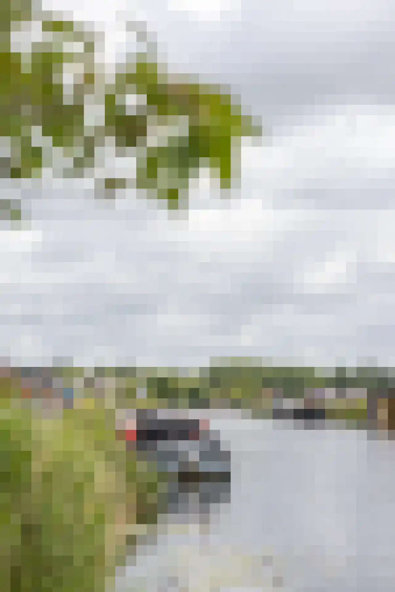 Terbregse Rechter Rottekade 278 Rotterdam thumbnail 42