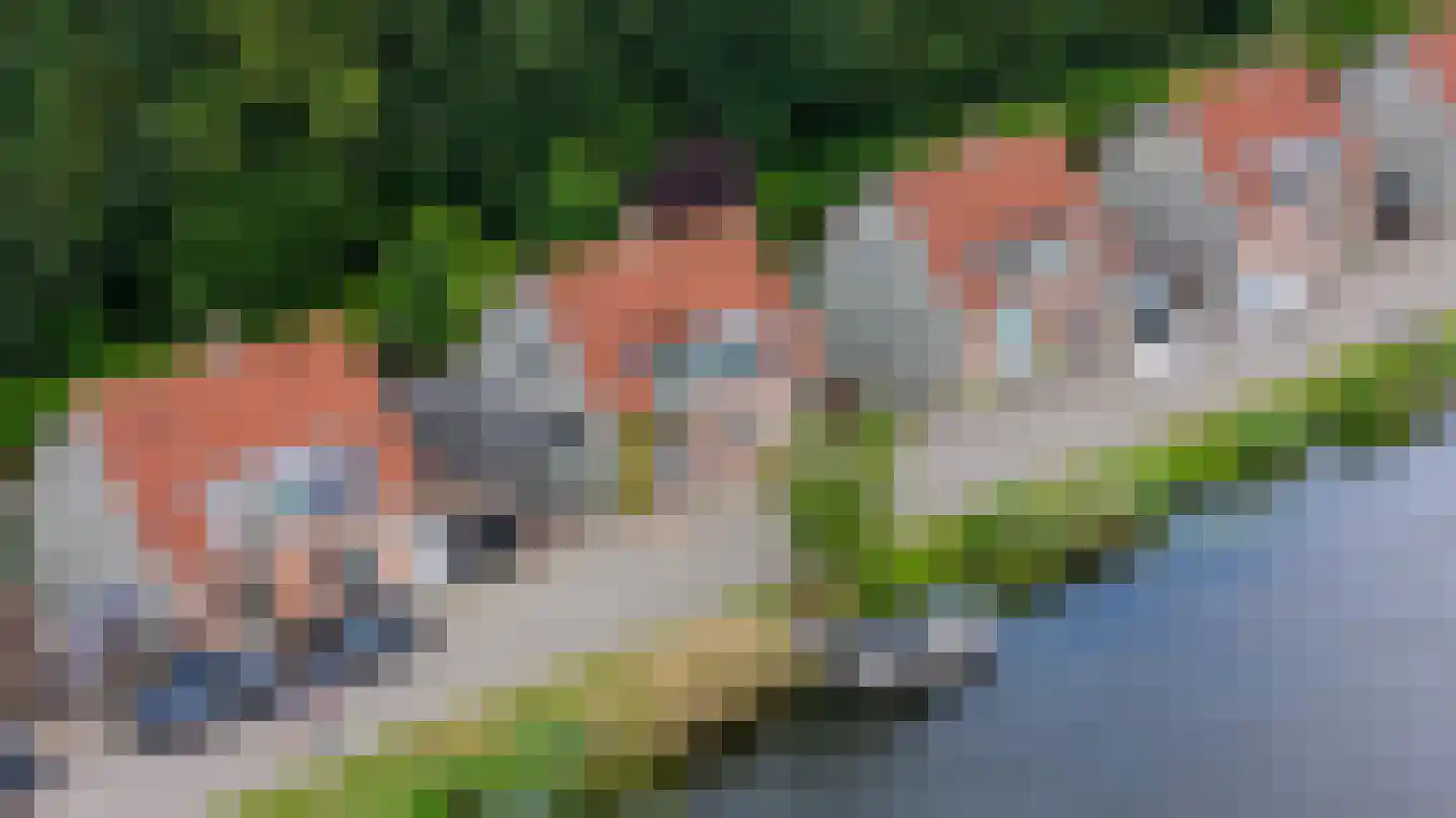 Terbregse Rechter Rottekade 278 Rotterdam thumbnail 47