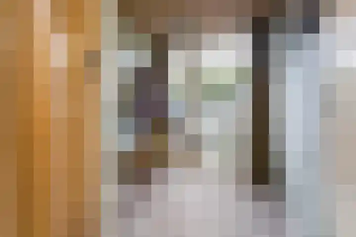 Terbregselaan 152 Rotterdam thumbnail 10
