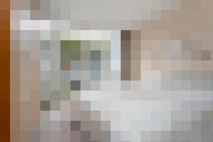 Terbregselaan 152 Rotterdam thumbnail 11