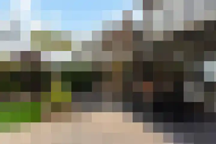 Terbregselaan 152 Rotterdam thumbnail 18