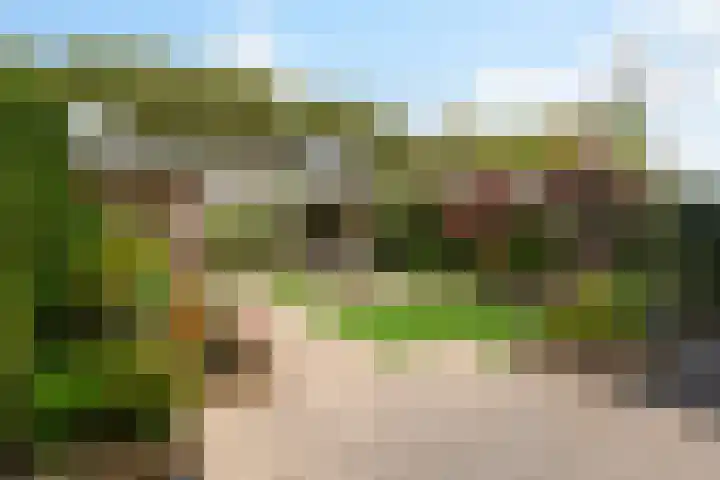 Terbregselaan 152 Rotterdam thumbnail 19