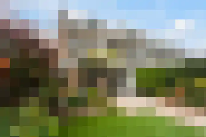 Terbregselaan 152 Rotterdam thumbnail 22