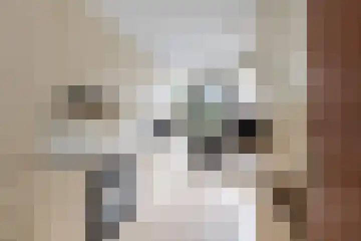 Terbregselaan 152 Rotterdam thumbnail 8