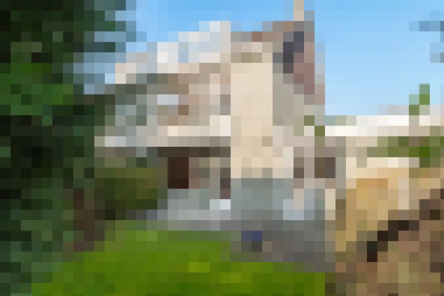Terbregselaan 166 Rotterdam thumbnail 12