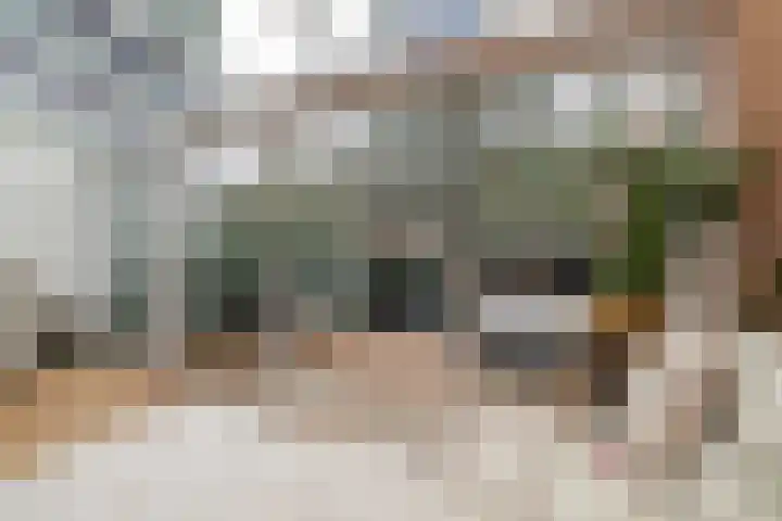Terbregselaan 20 Rotterdam thumbnail 11