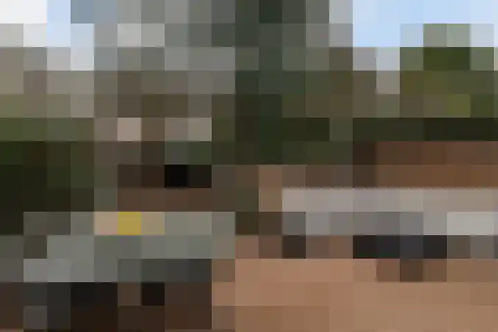 Terbregselaan 20 Rotterdam thumbnail 12