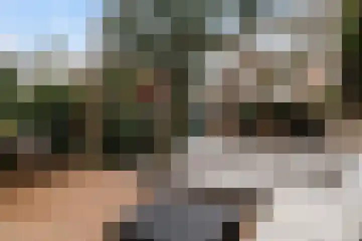 Terbregselaan 20 Rotterdam thumbnail 13