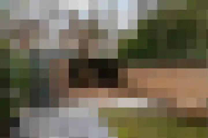 Terbregselaan 20 Rotterdam thumbnail 14