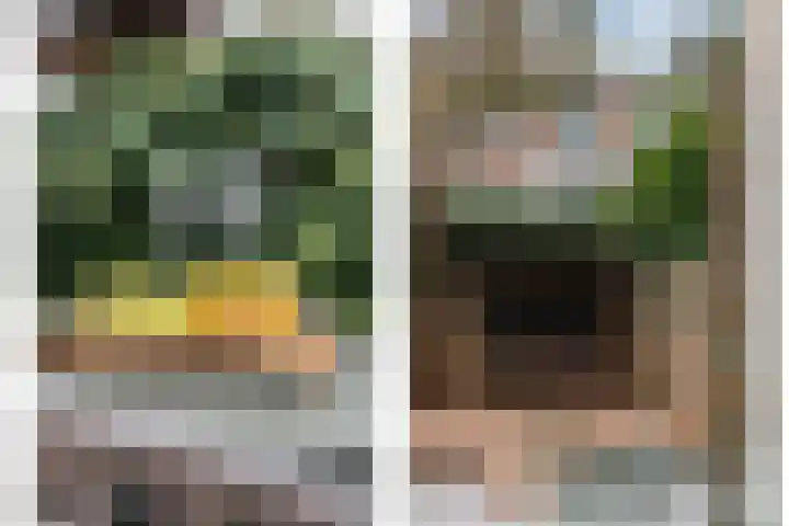 Terbregselaan 20 Rotterdam thumbnail 15