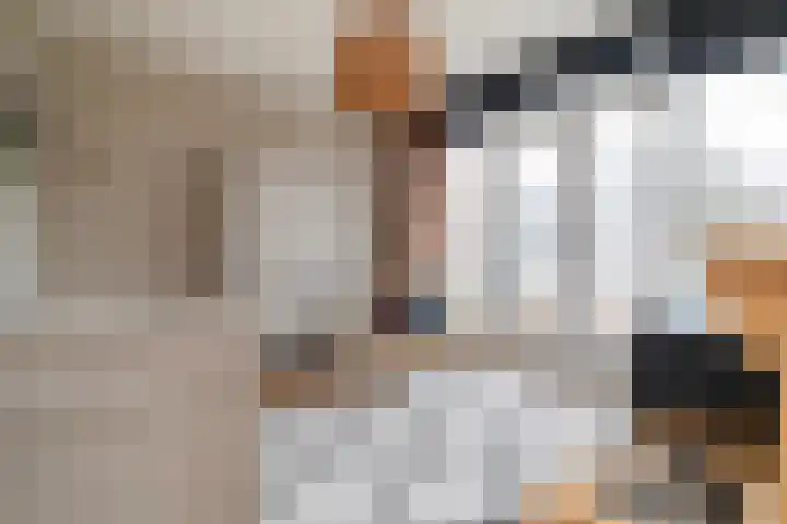 Terbregselaan 20 Rotterdam thumbnail 17