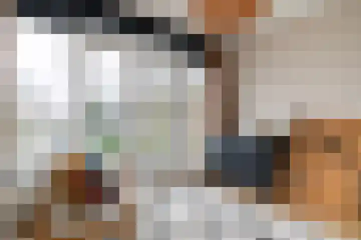 Terbregselaan 20 Rotterdam thumbnail 18