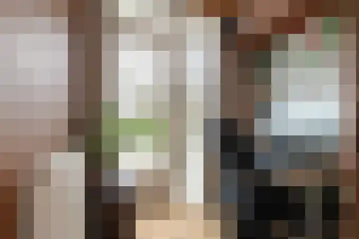 Terbregselaan 20 Rotterdam thumbnail 19
