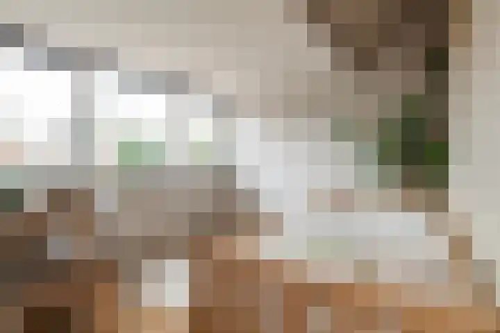 Terbregselaan 20 Rotterdam thumbnail 23