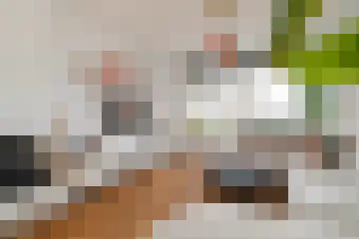 Terbregselaan 20 Rotterdam thumbnail 5