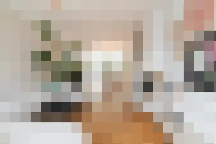 Terbregselaan 20 Rotterdam thumbnail 6