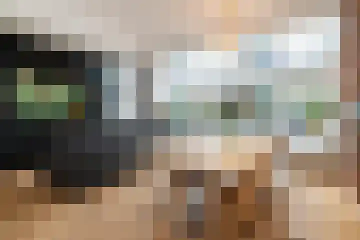 Terbregselaan 20 Rotterdam thumbnail 8