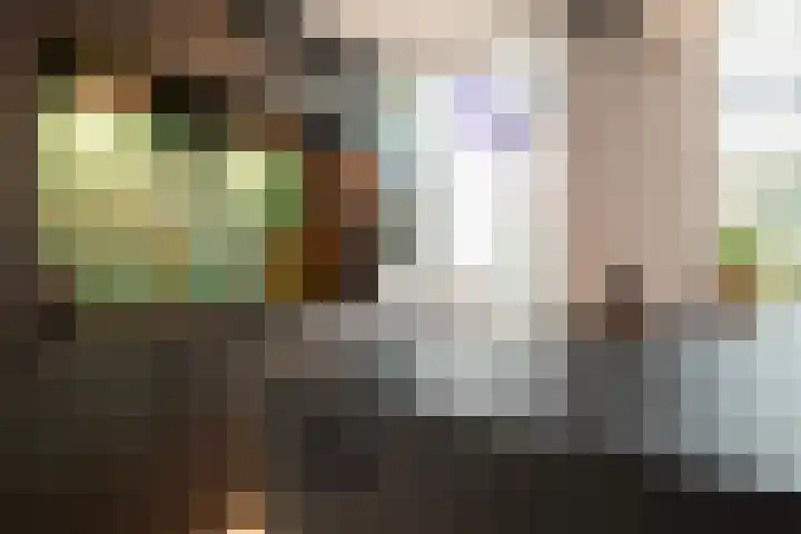 Terbregselaan 20 Rotterdam thumbnail 9
