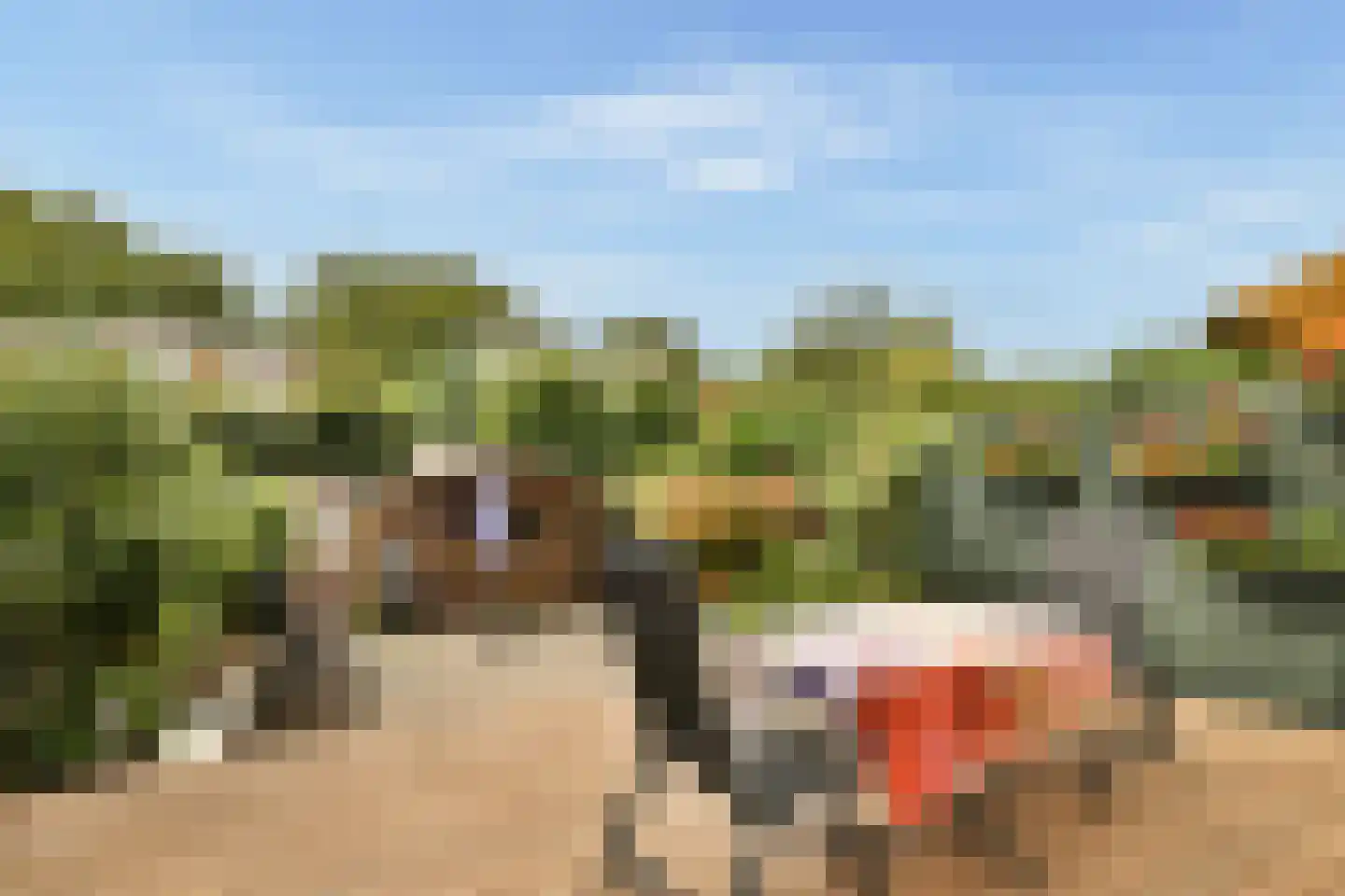 Terbregselaan 40 Rotterdam thumbnail 17