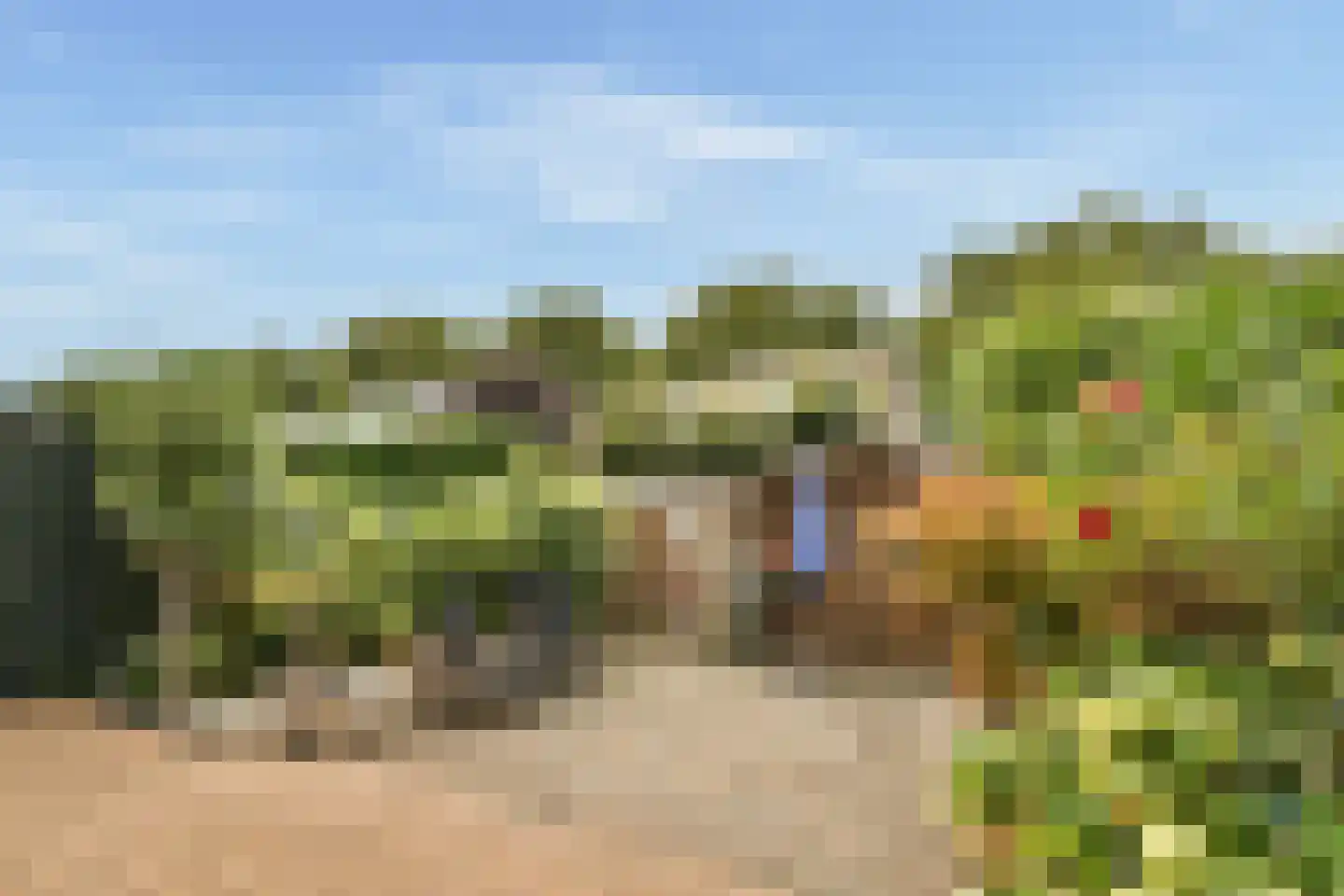 Terbregselaan 40 Rotterdam thumbnail 18