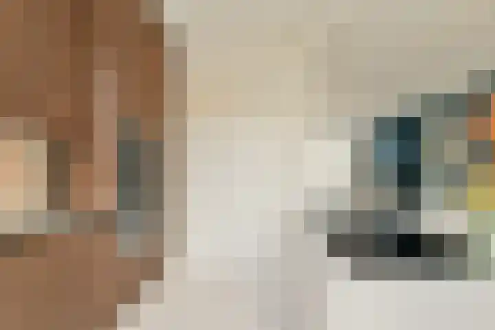 Terbregselaan 6 A Rotterdam thumbnail 12