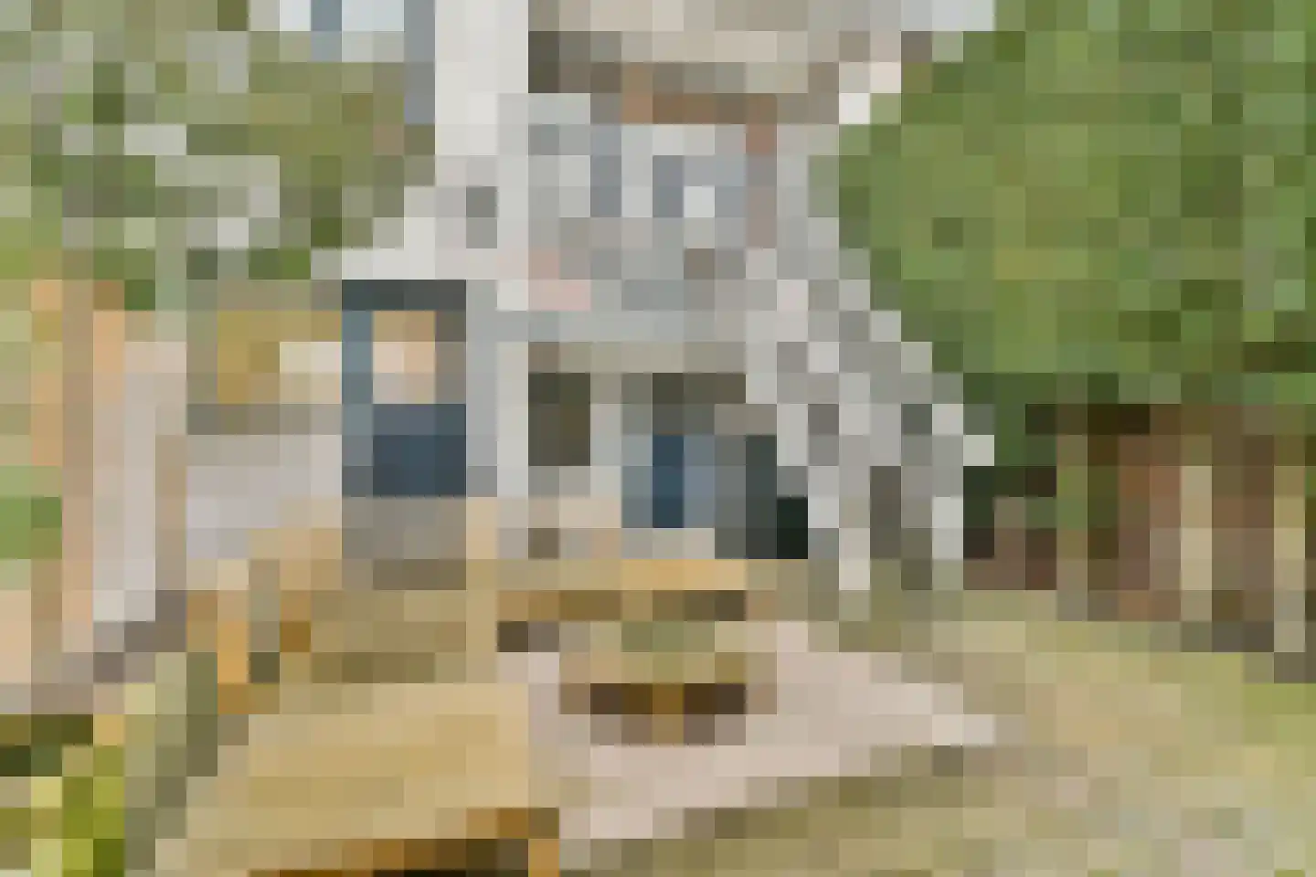 Terbregselaan 6 A Rotterdam thumbnail 15