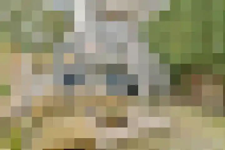 Terbregselaan 6 A Rotterdam thumbnail 15