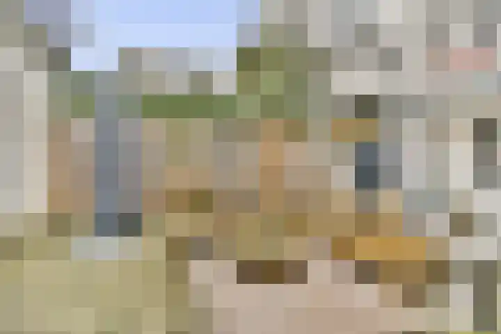 Terbregselaan 6 A Rotterdam thumbnail 16