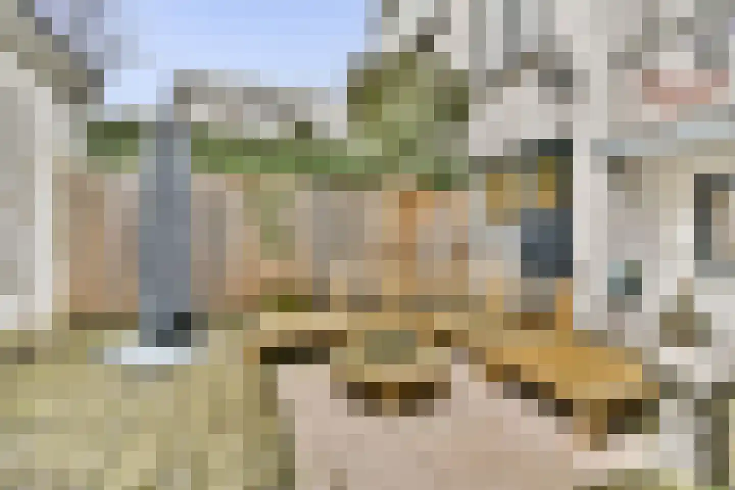 Terbregselaan 6 A Rotterdam thumbnail 16