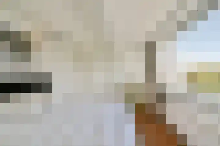 Terbregselaan 6 A Rotterdam thumbnail 22