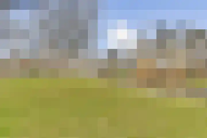 Terbregselaan 6 A Rotterdam thumbnail 29