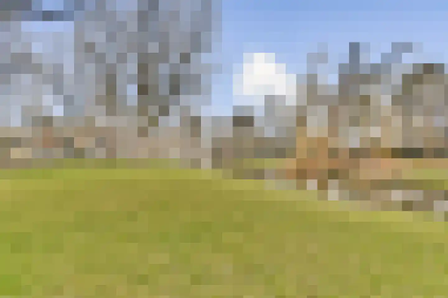 Terbregselaan 6 A Rotterdam thumbnail 29