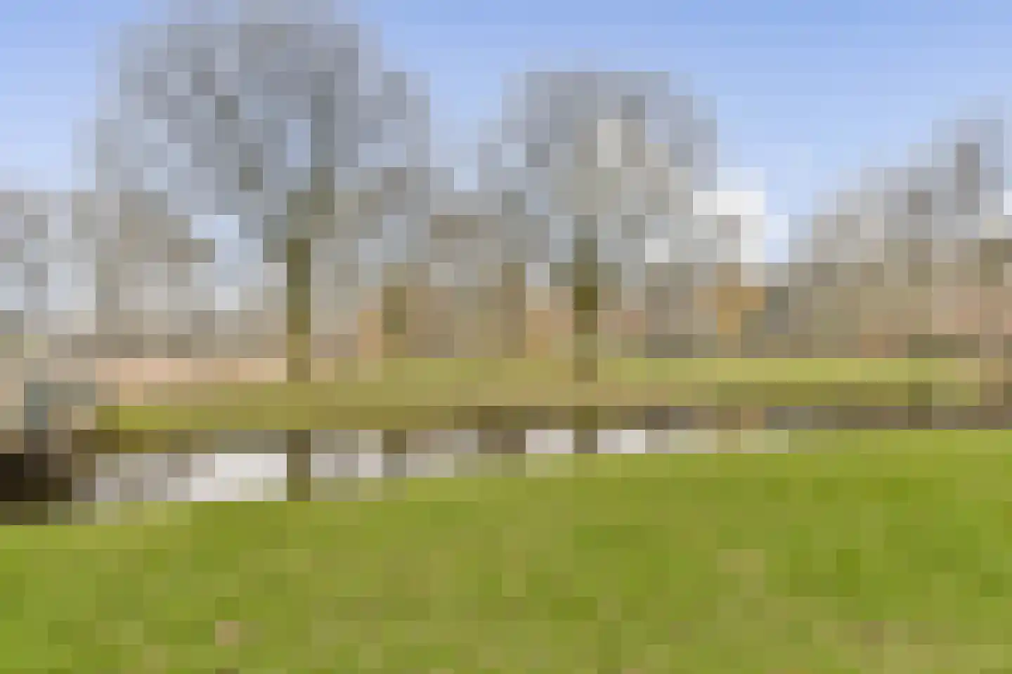Terbregselaan 6 A Rotterdam thumbnail 30
