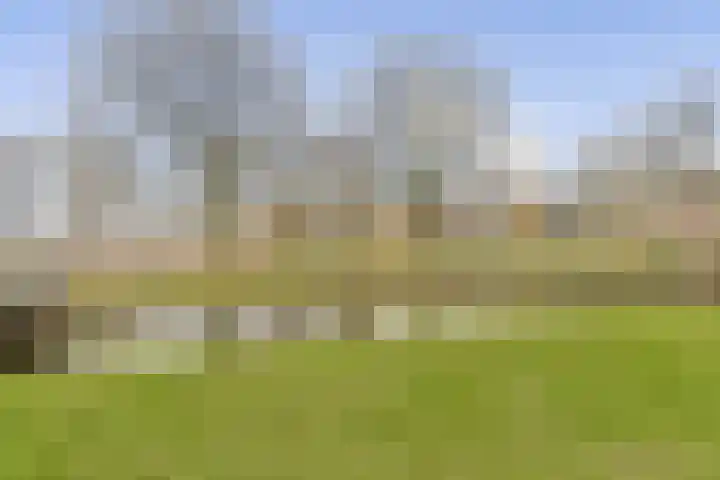 Terbregselaan 6 A Rotterdam thumbnail 30