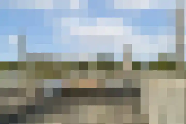Terbregselaan 6 A Rotterdam thumbnail 33