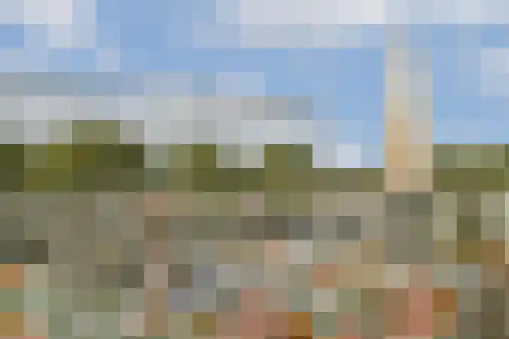 Terbregselaan 6 A Rotterdam thumbnail 35