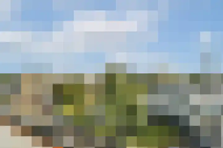 Terbregselaan 6 A Rotterdam thumbnail 37
