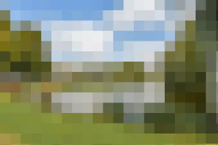 Terbregselaan 6 A Rotterdam thumbnail 38